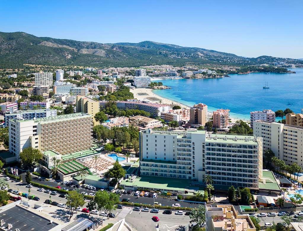 Sol Palmanova Mallorca מראה חיצוני תמונה